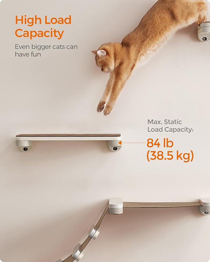 10-Piece Wall-Mounted Cat Tree/ Cat Wall Furniture & Play System with Replaceable Modules
