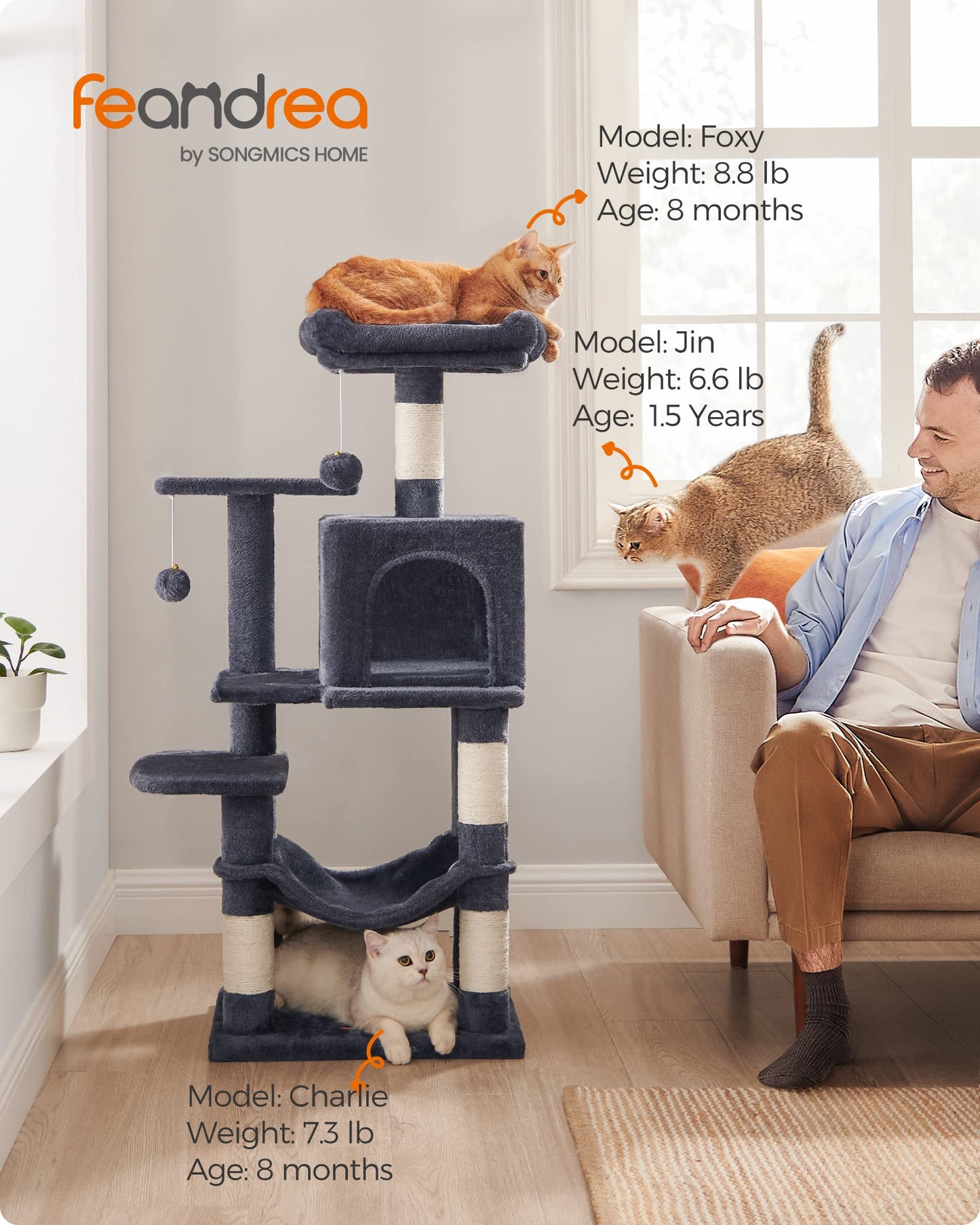 Cat Tree 2 Perches 2 Caves