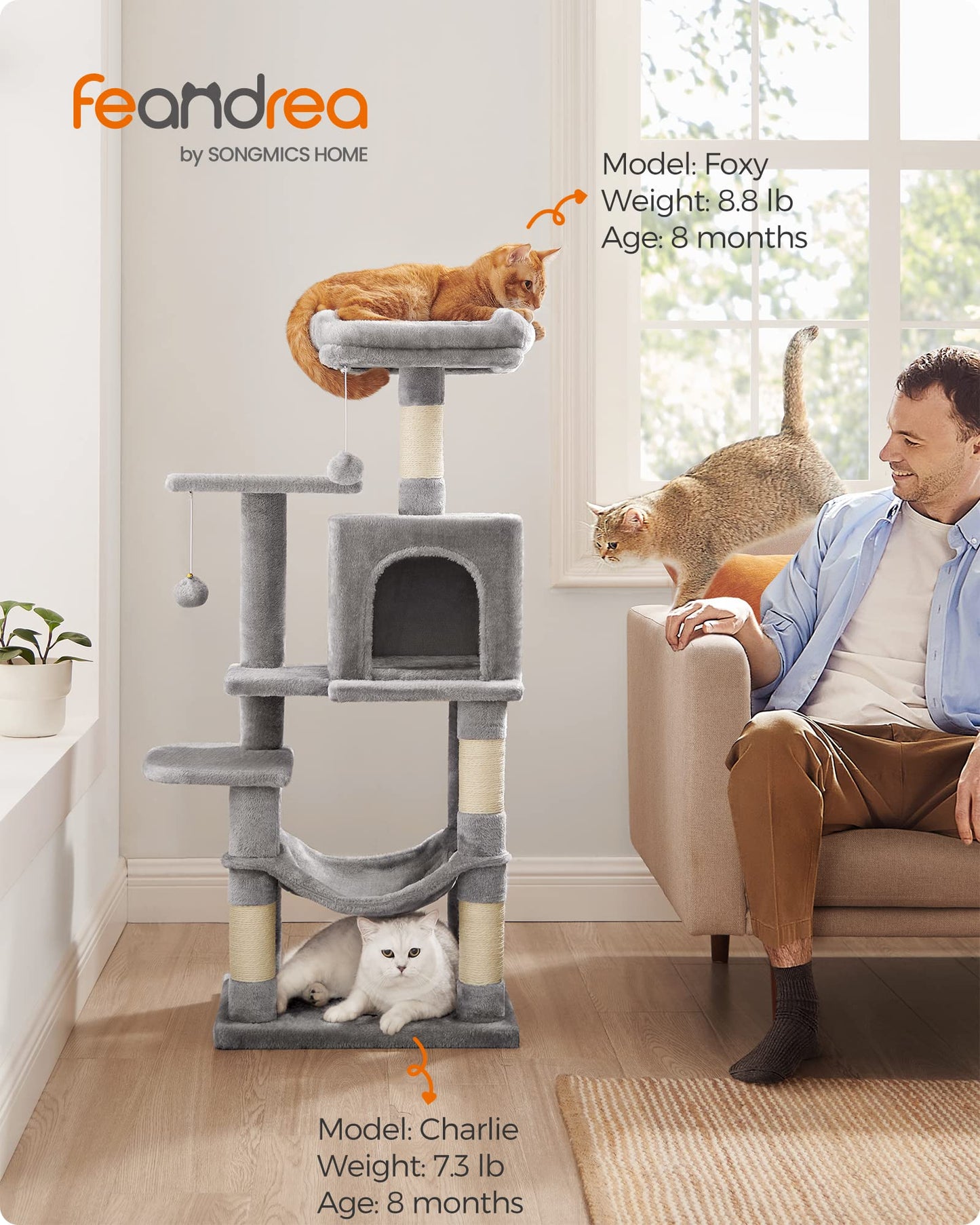 Cat Tree 2 Perches 2 Caves