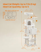 Cat Tree 2 Perches 2 Caves Multi Market World Inc.