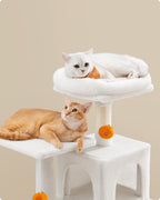 Cat Tree 2 Perches 2 Caves Multi Market World Inc.