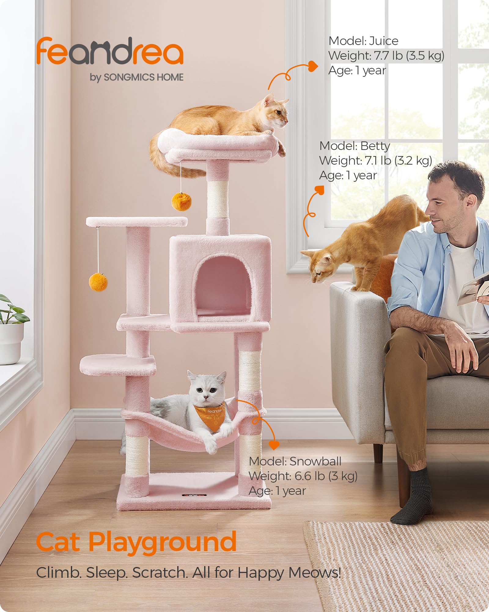 Cat Tree 2 Perches 2 Caves Multi Market World Inc.