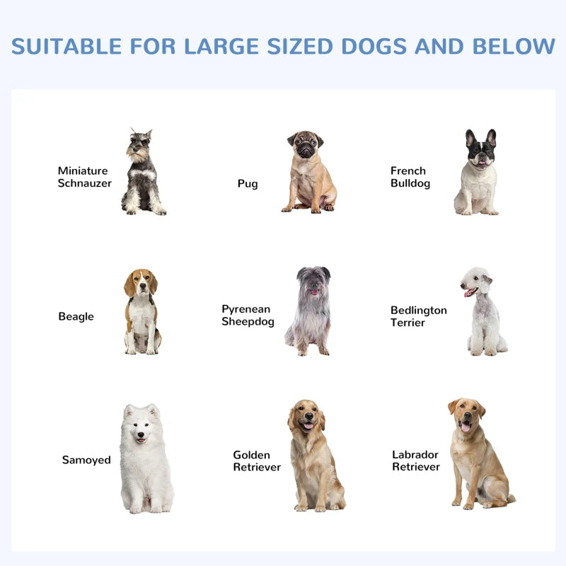 Dog Kennel Outdoor Run Fence with Roof, Steel Lock, Mesh Sidewalls for Backyard & Patio, 9.8' x 9.8' x 7.7' Multi Market World Inc.