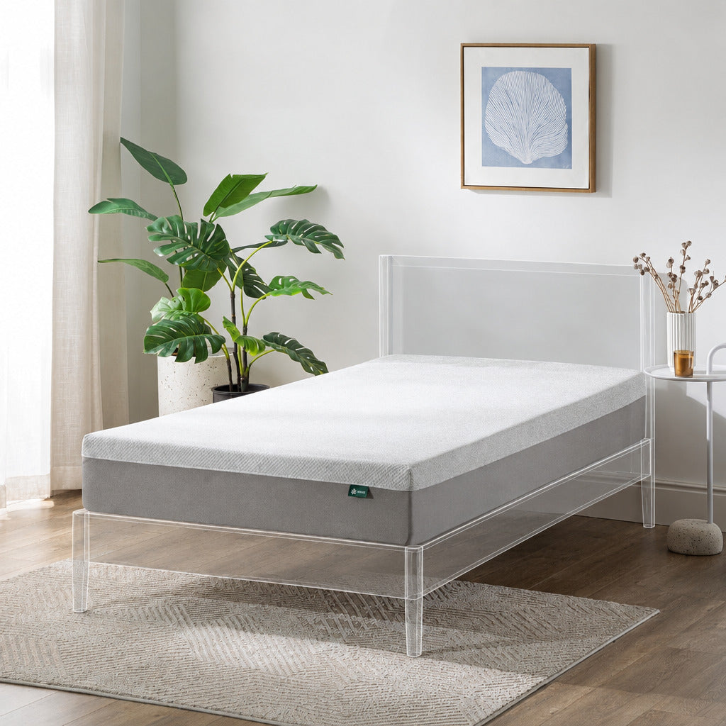 A single bed with a light wood frame and a white mattress topper is styled in a bright bedroom. The bed has white and blue accent pillows, set on a textured gray rug with a potted green plant and a small side table nearby.